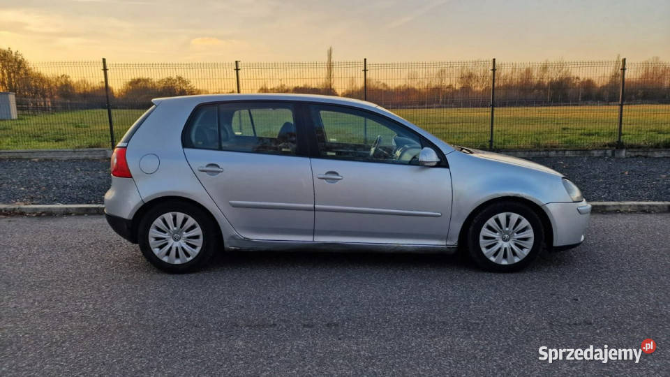 Volkswagen Golf 20 TDI 140 2004 Klima Elektryka Golf Pabianice