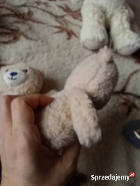 misie zabawki pluszowe maskotki komplet Maskotki