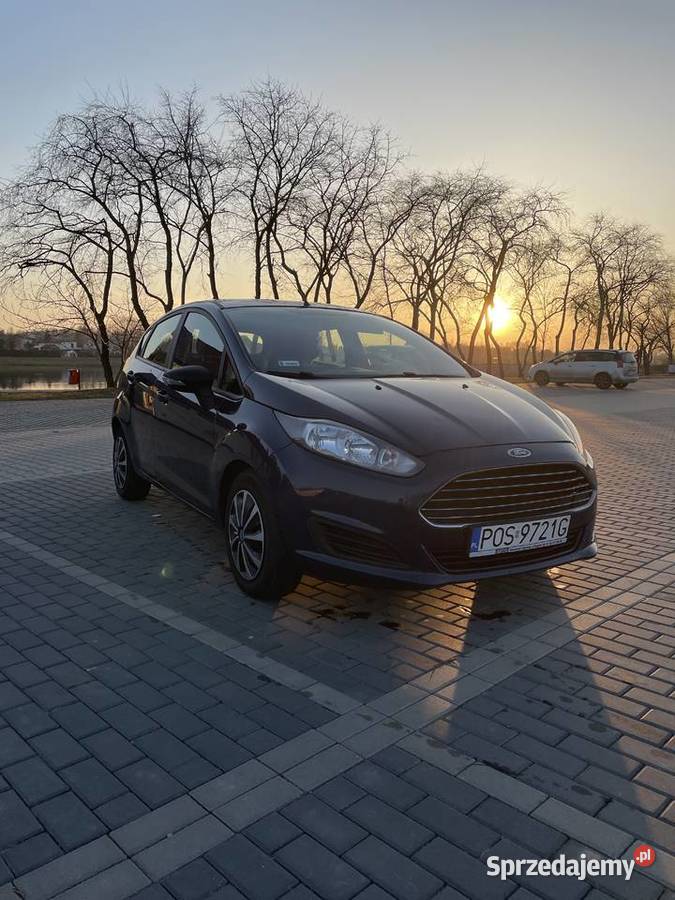 Ford fiest mk7 2014 Ostrów Wielkopolski