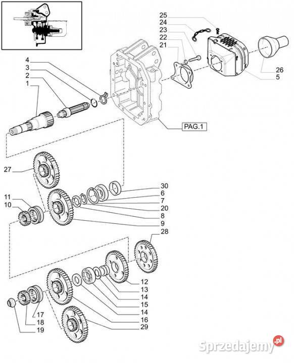 Holland T6010 Wałek napędowy 21t 12t 20t 12t Jastrzębniki