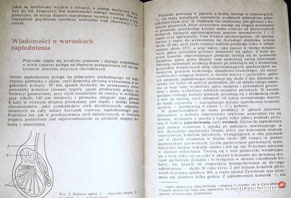 Niepłodność uleczalna czy nie Rudolf Klimek miękka Chełm
