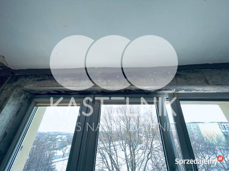 Odgrzybianie ścian Toruń Kastelnik Usuwanie