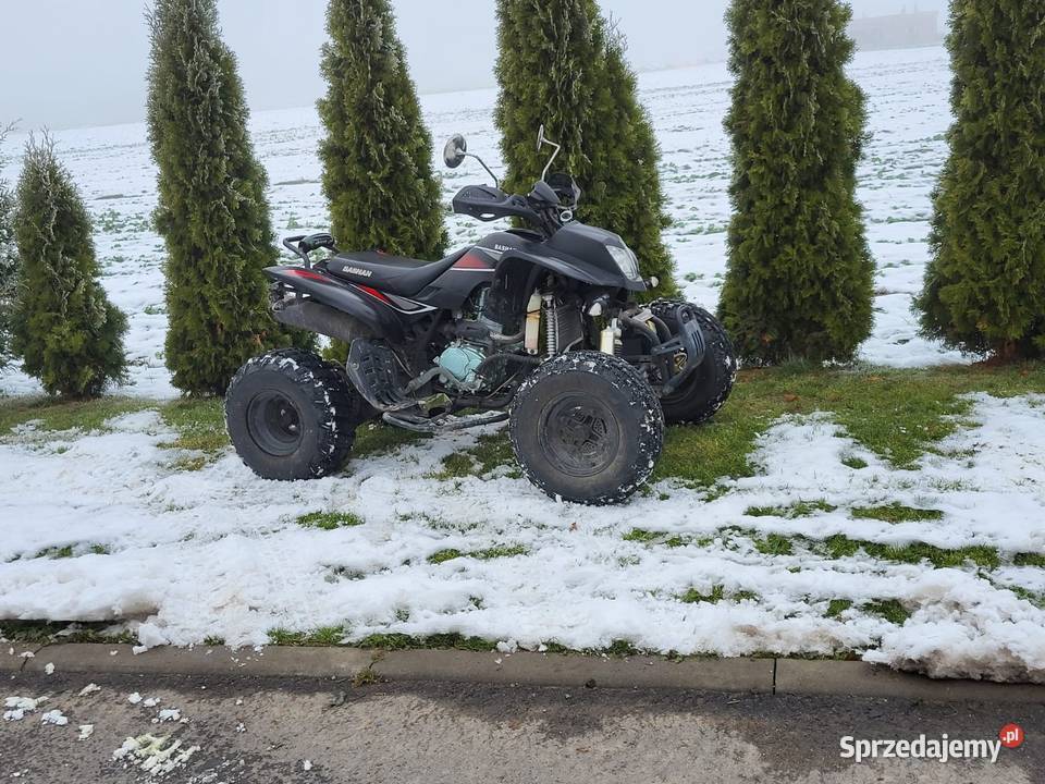 Quad atv bashan 250s nieuszkodzony Głogówek