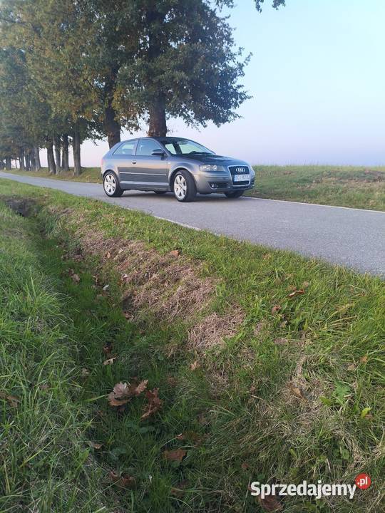 Audi A3 8p ABS śląskie Zbytków sprzedam