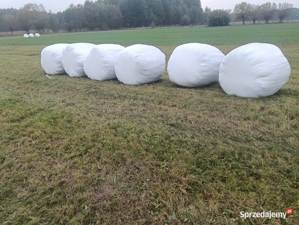 Sianokiszonka i siano z 2026r Łochów sprzedam
