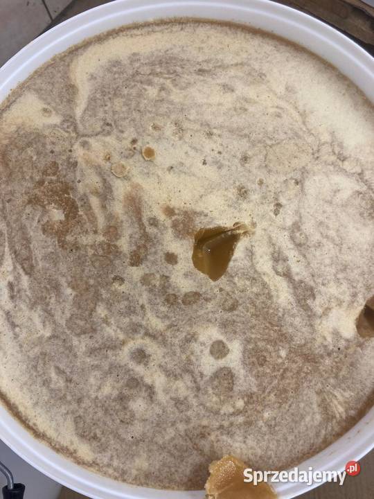 Miód wielokwiatowy Kędzierzyn-Koźle