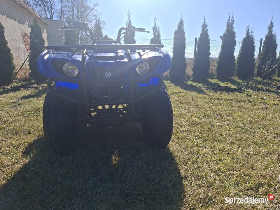 Yamaha bruin grozili 250 2452km Świdnica