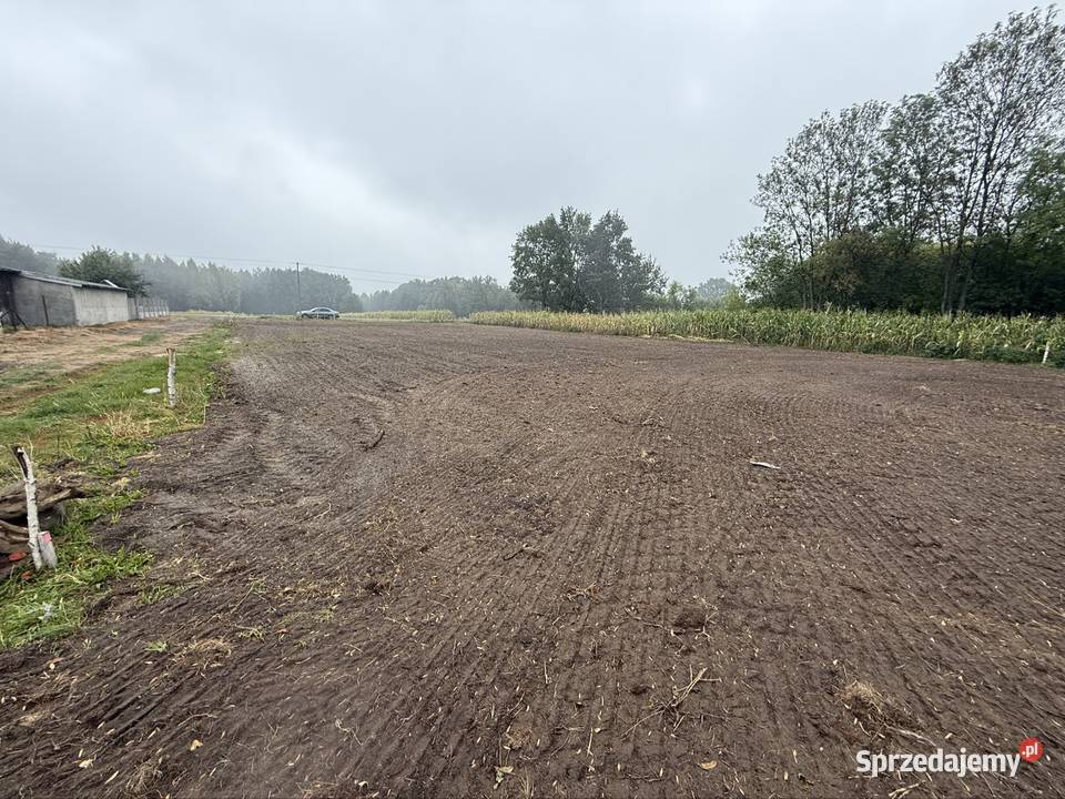 Działka budowlana 1500m Wrzeszczewice Łask prąd Sprzedaż