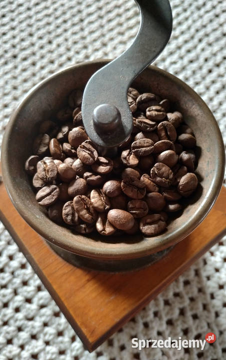 Wysokiej jakości Brazylijska kawa arabica Grudziądz