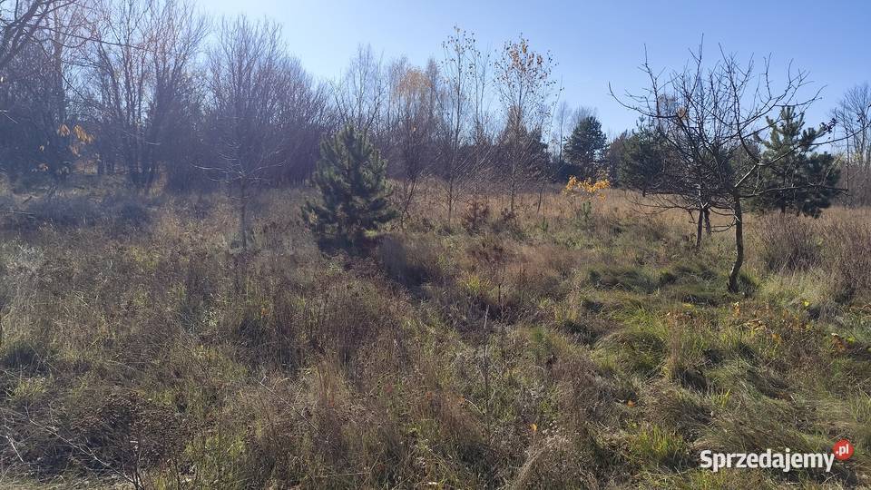 działka rolna 160400 m2 Narew Nieruchomości