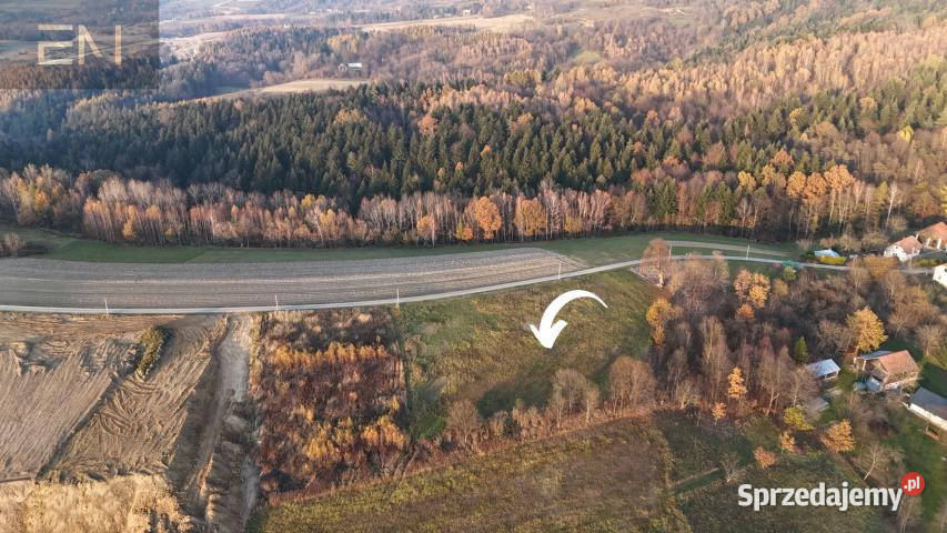 Sprzedam grunt Żarnowa 5000m2 podkarpackie