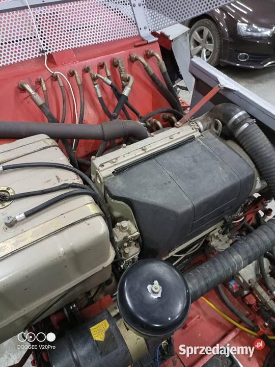 Kombajn do zbioru orzechów laskowych Izdebno