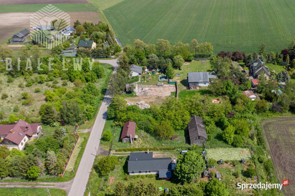 Grunt BieniewoWieś 1617m2 asfalt Bieniewo-Wieś