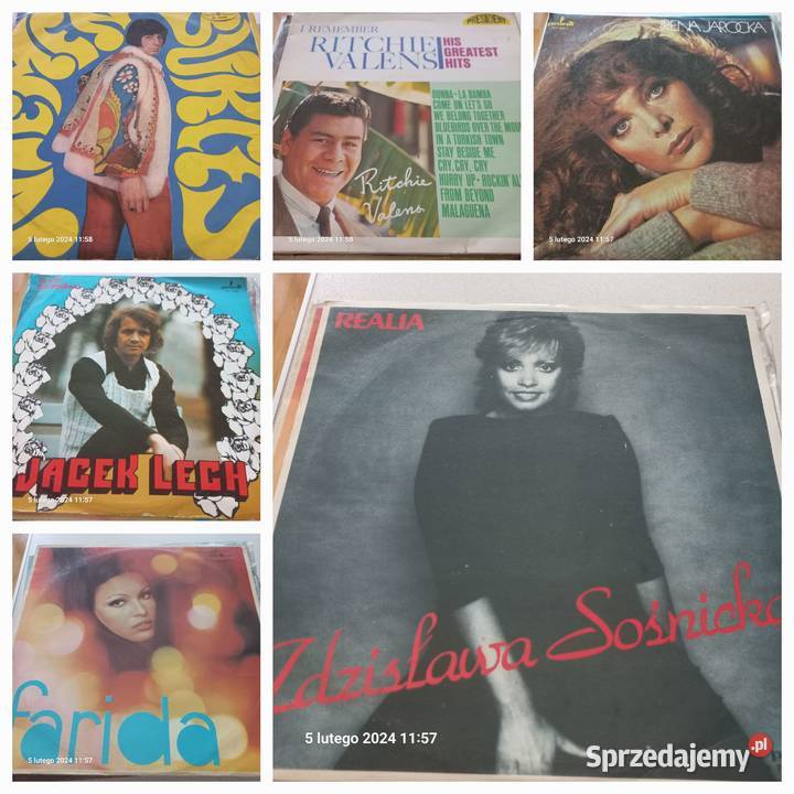 Płyty gramofonowe Poznań