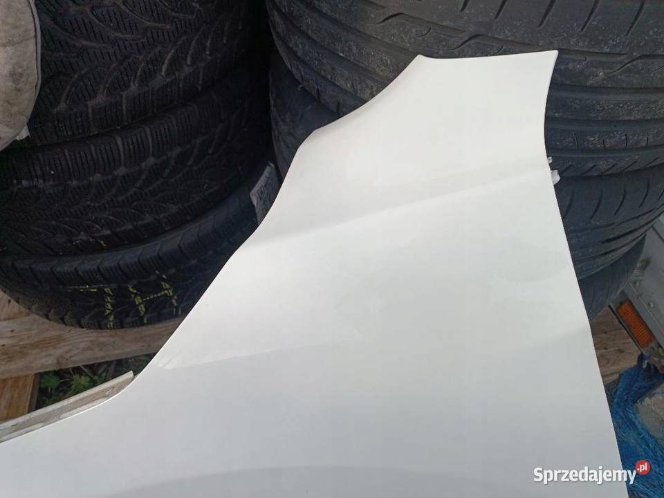 BŁOTNIK LEWY PRZÓD 326G NISSAN QASHQAI 11