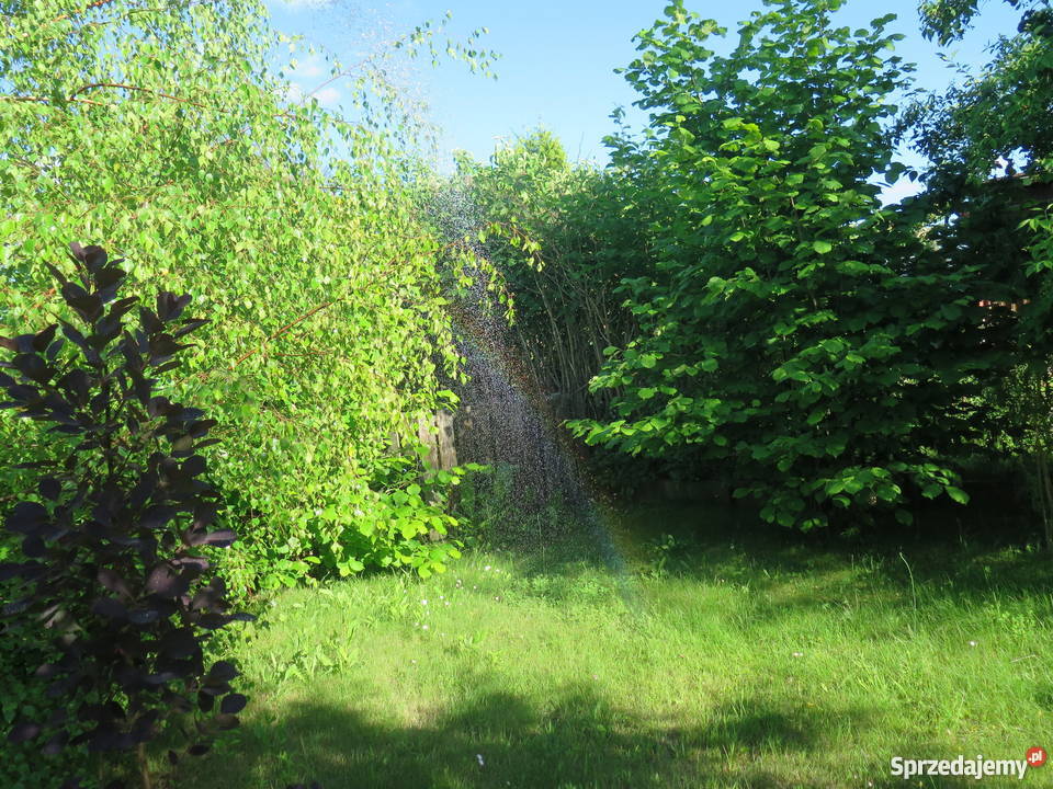 Działka ogrodnicza w ROD Słoneczne Wzgorze pomorskie