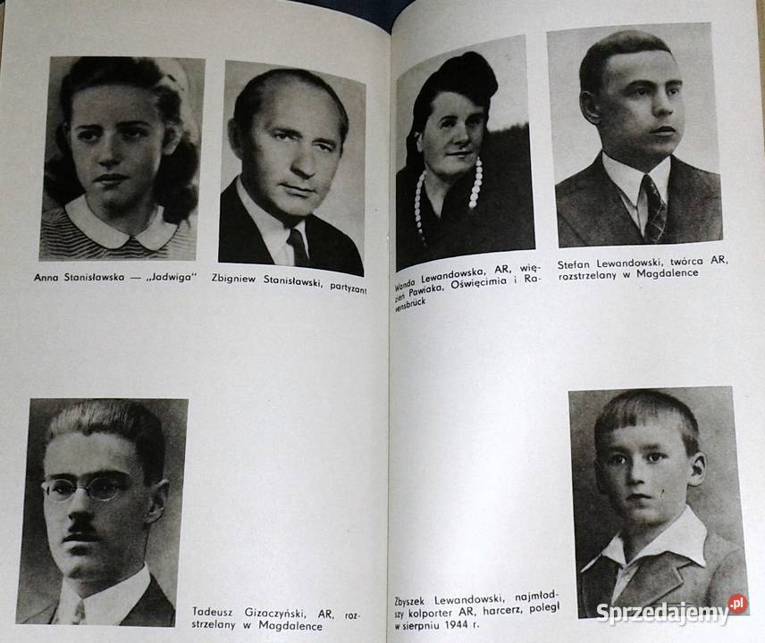 Nie zniszczeni grom Józefa Radzymińska Rok wydania 1981 Chełm