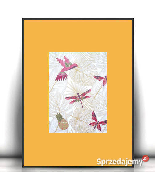 boho plakat A4 mały plakat do domu koliber wielokolorowy Opole