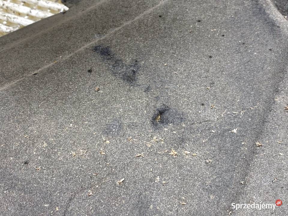 WYGŁUSZENIE MASKI SKODA ROOMSTER Kombi 0615 osobowe