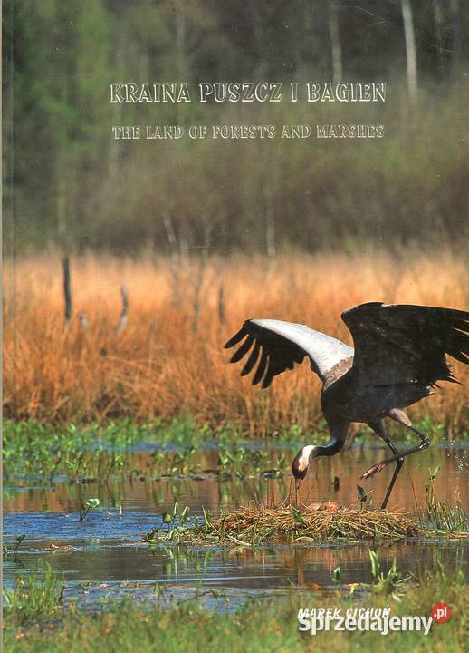 Kraina puszcz i bagien Cichoń Szczecin