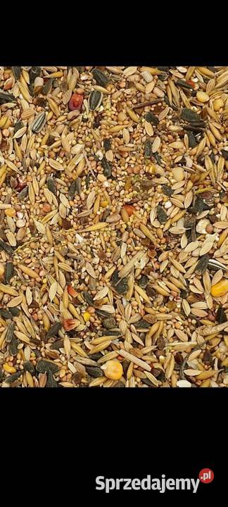 Karma dzikich ptaków 20 kujawsko-pomorskie Królikowo