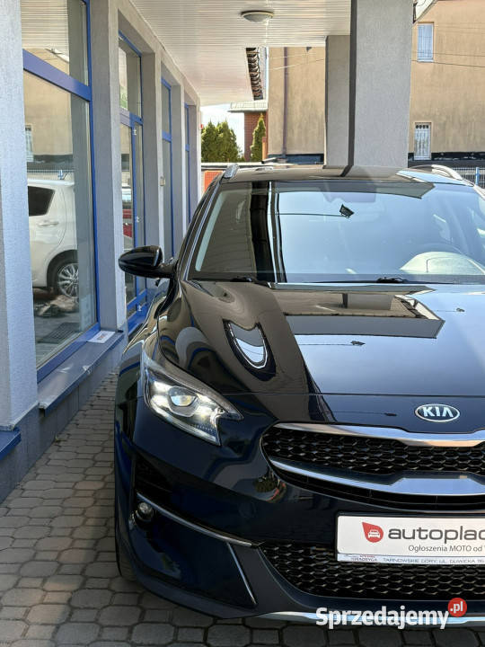 Kia XCeed 15 160 Pół Skóry Kamera Full LED Pełny Rok produkcji 2021 XCeed sprzedam