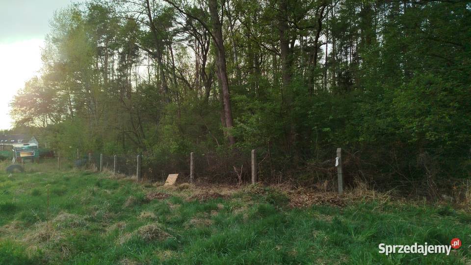 Sprzedam przepiękną działkę pod lasem rekreacyjna Goleniów