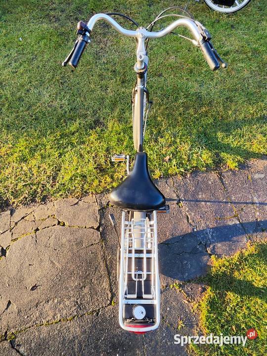 Rower z silnikiem spalinowy SAXONETTE LUXUS Rogów