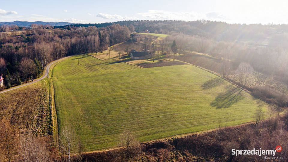 Działka budowlana 623 ar Tuchów A7 budowlana