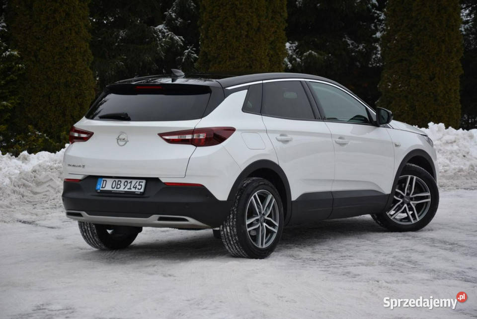 Opel Grandland X RadarACC FullLed AWD SkóryWent Ostrów Mazowiecka