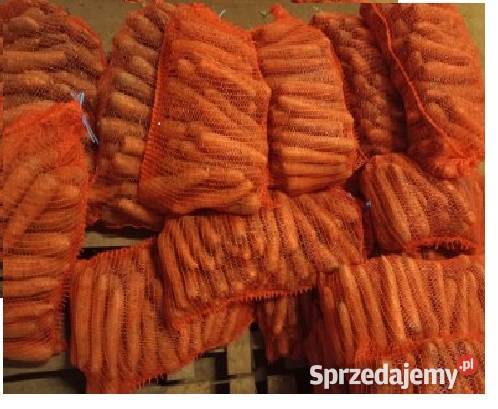 Marchew jadalna zwierząt