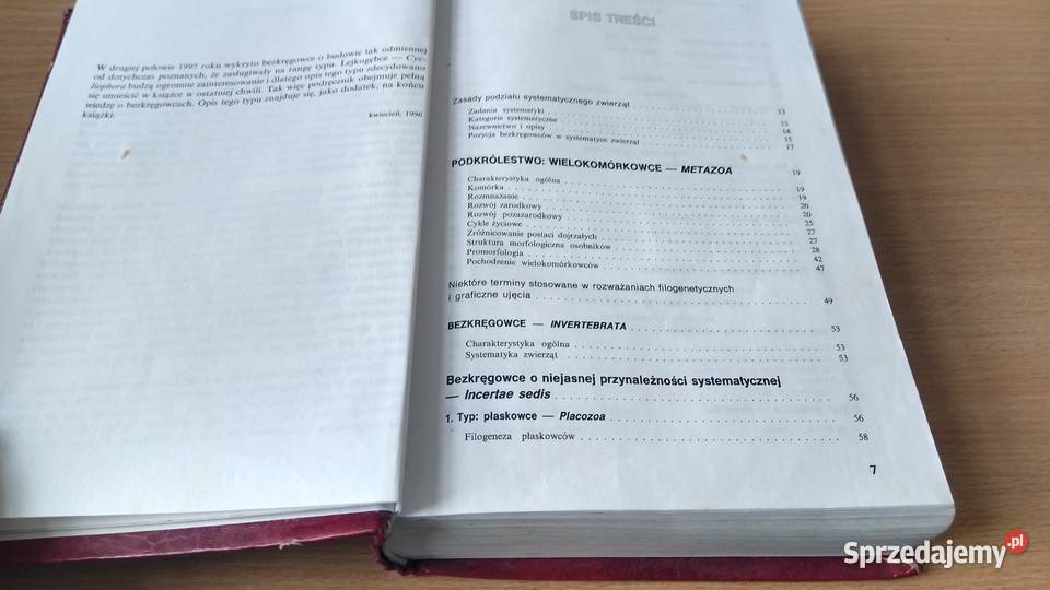 Bezkręgowce podstawy morfologii funkcjonalnej Gdańsk