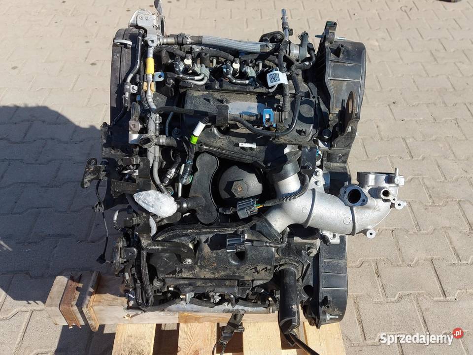 Ford Ranger VI 6 2024r SILNIK Kompletny egine 30