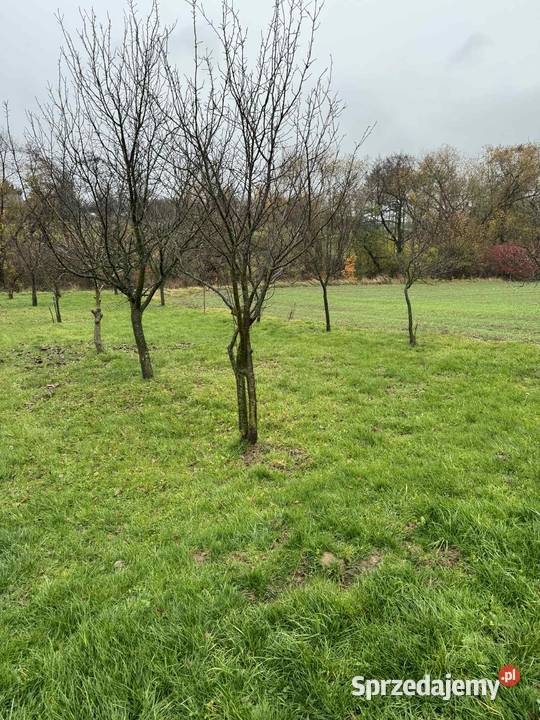 Działka 35 arów Krasieniec Stary prąd i woda