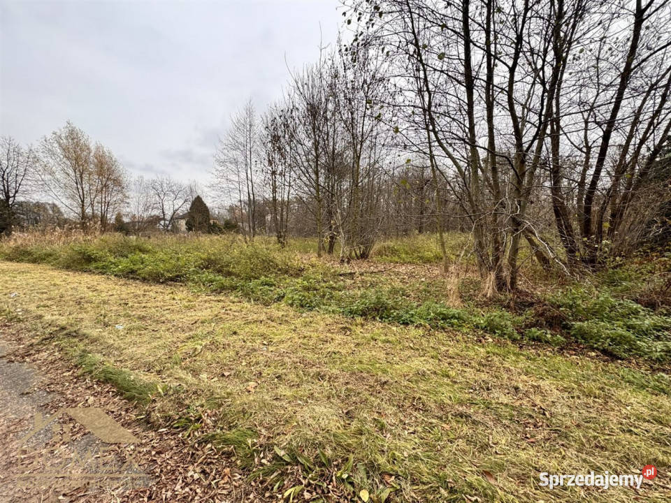 Działka Wodzisław Śląski 3775m2