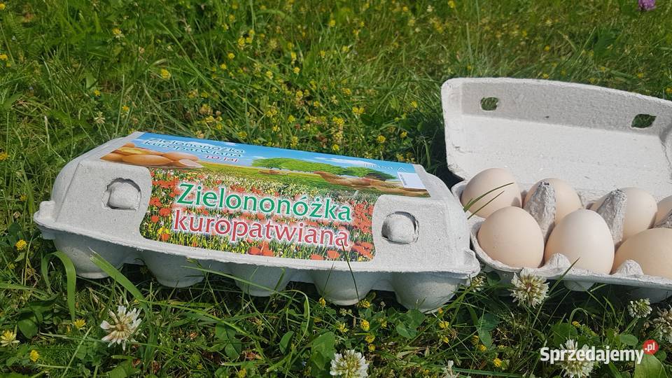 Wytłaczanki etykieta Zielononóżka Opakowania na pomorskie sprzedam