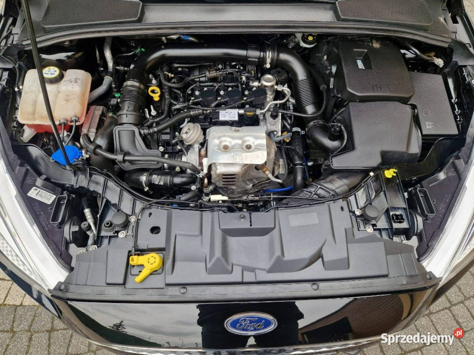 Ford Focus LIFT Navi GWARANCJA Zakup Door to czarny Płońsk