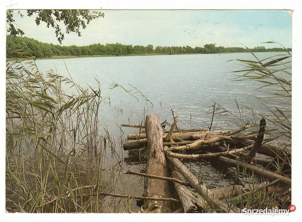 WOLIŃSKI PARK NORODOWY 2 POCZTÓWKA Krynki sprzedam