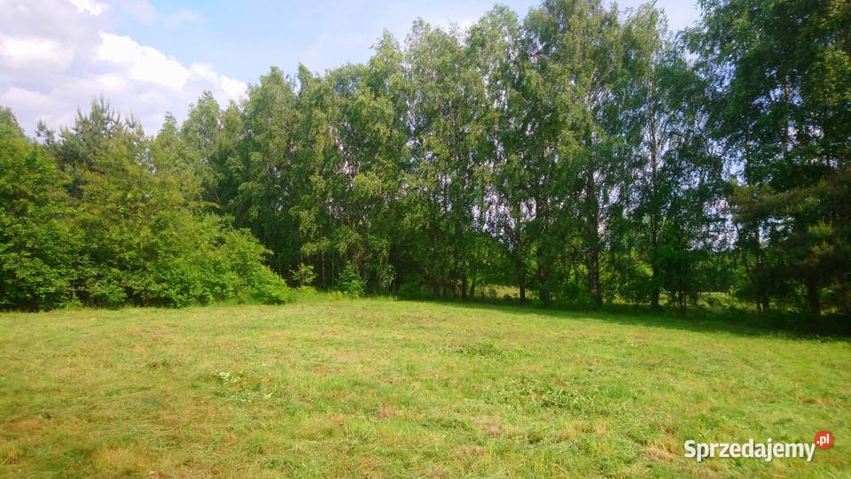Sprzedam działkę 4828m2 Wkrą z prawem zabudowy 4828m2 Sprzedaż Popielżyn-Zawady