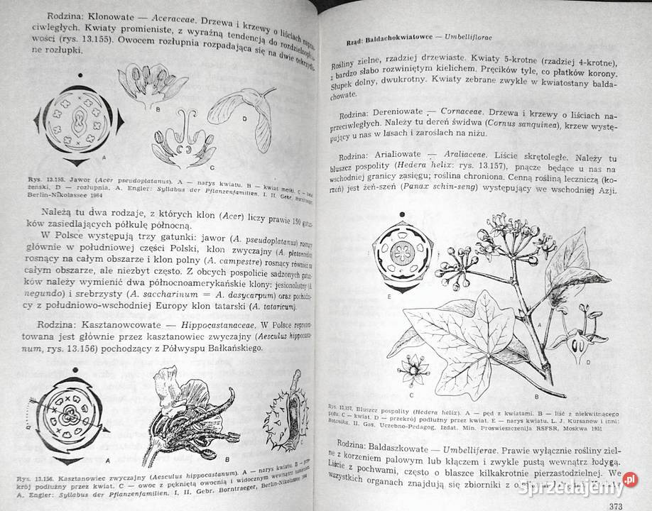Świat roślin Cz 1234 Józef Prończuk Rok wydania 1986 lubelskie Chełm sprzedam