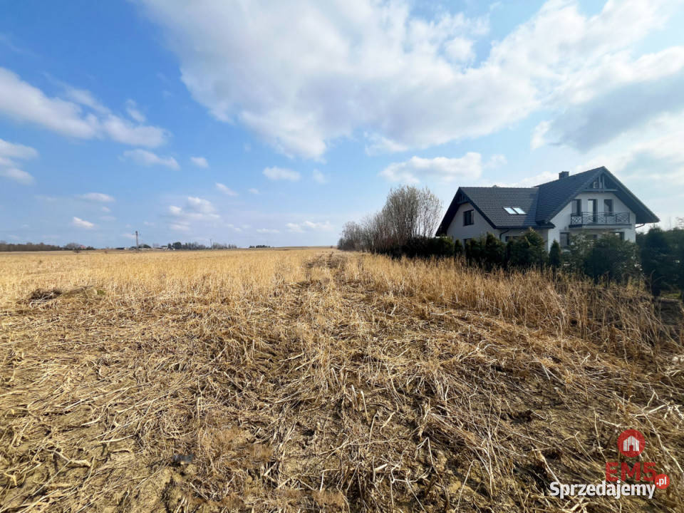 Działkę sprzedam 10000m2 Nowe Aleksandrowo telefon