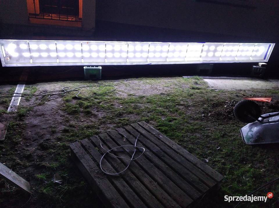 Kaseton reklamowy podświetlany Biznes i Przemysł