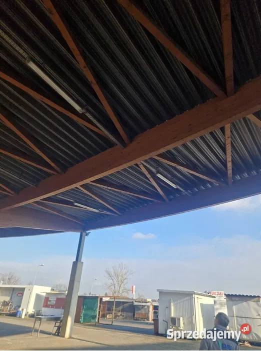 Montaż kolców przeciw gołębiom Ruda Śląska Pozostałe