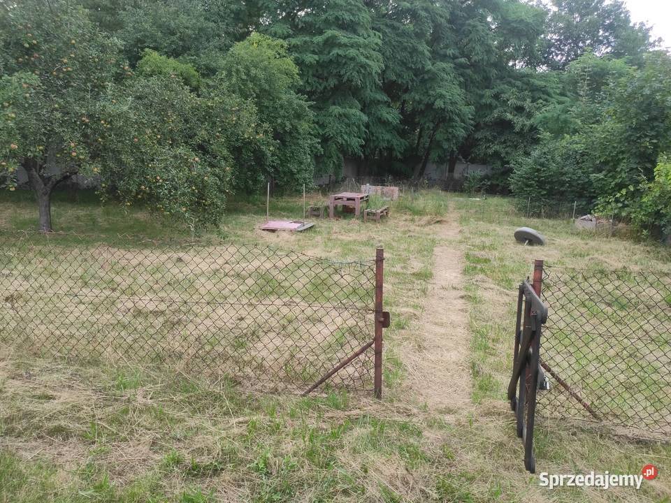 Ogródek działkowy ROD Różanecznik Wrocław prąd