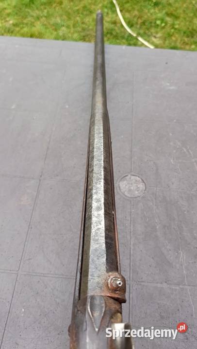 Karabin czarnoprochowa Francja XIX w Pielgrzymka