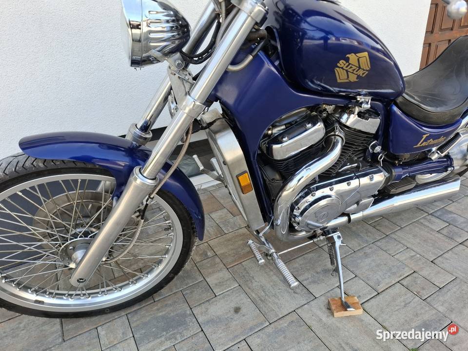 Suzuki vs 800 intruder 27 koni A2 519426269 Chobrzany