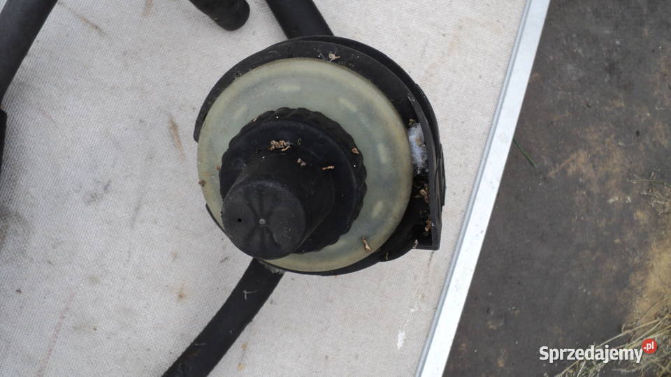 Renault Espace zbiorniczek płynu Osielsko