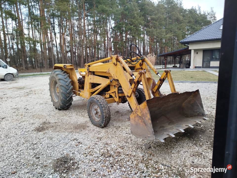 Massey 3165R Dąbrówka Wisłocka