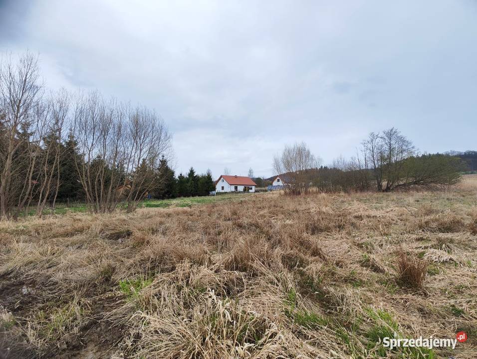 Działka budowlana z widokiem na góry Sosnówka