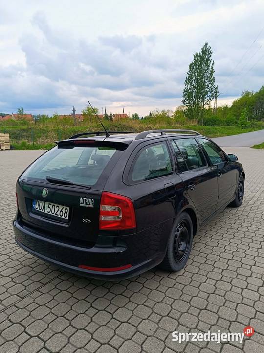 Skoda Octavia 18 Kłodzko